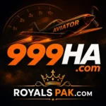 999HA Game