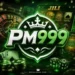 pm999 game