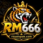 RM666 Game