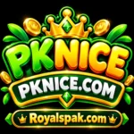 PKNice Game